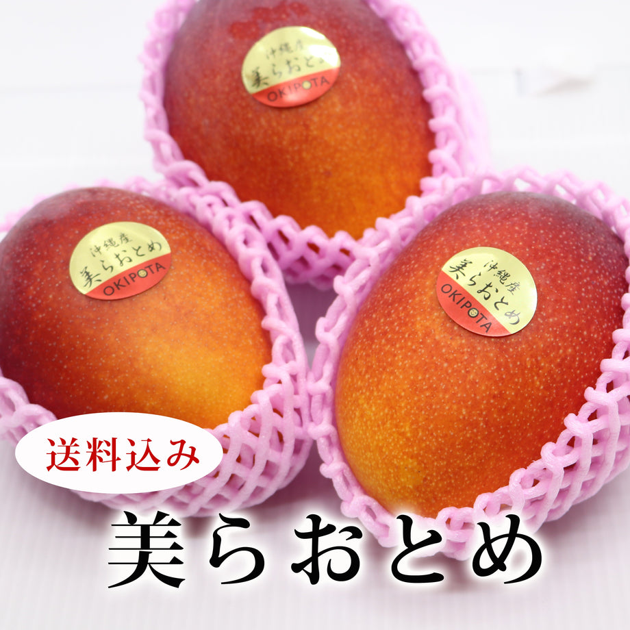 沖縄県産マンゴー】【送料無料】美らおとめ☆人気No.1☆ – マンゴー